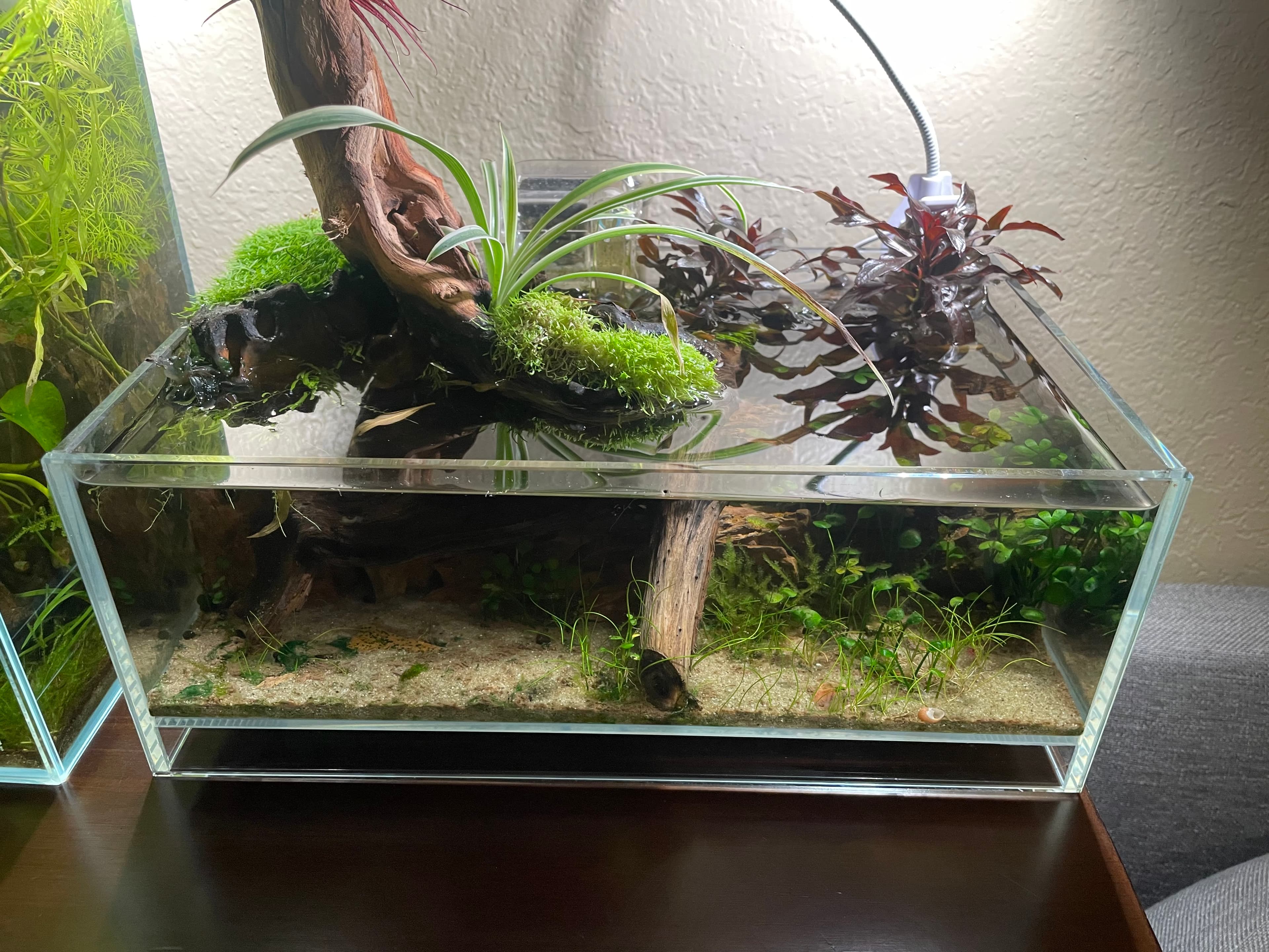 small slice of nature