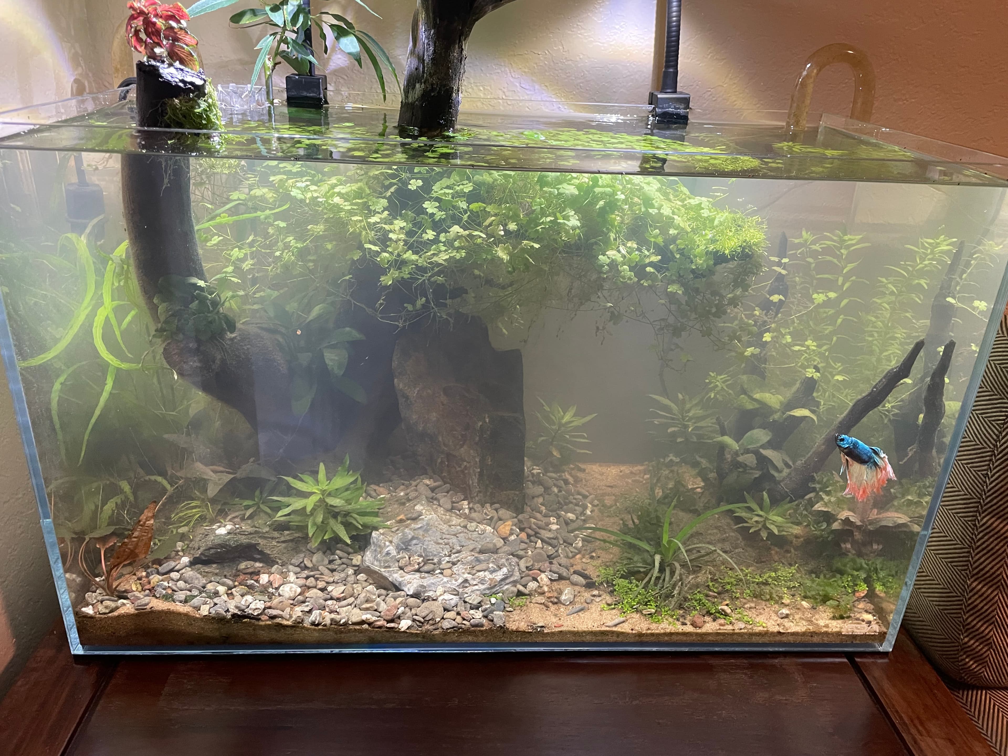 Emergency In The Tank