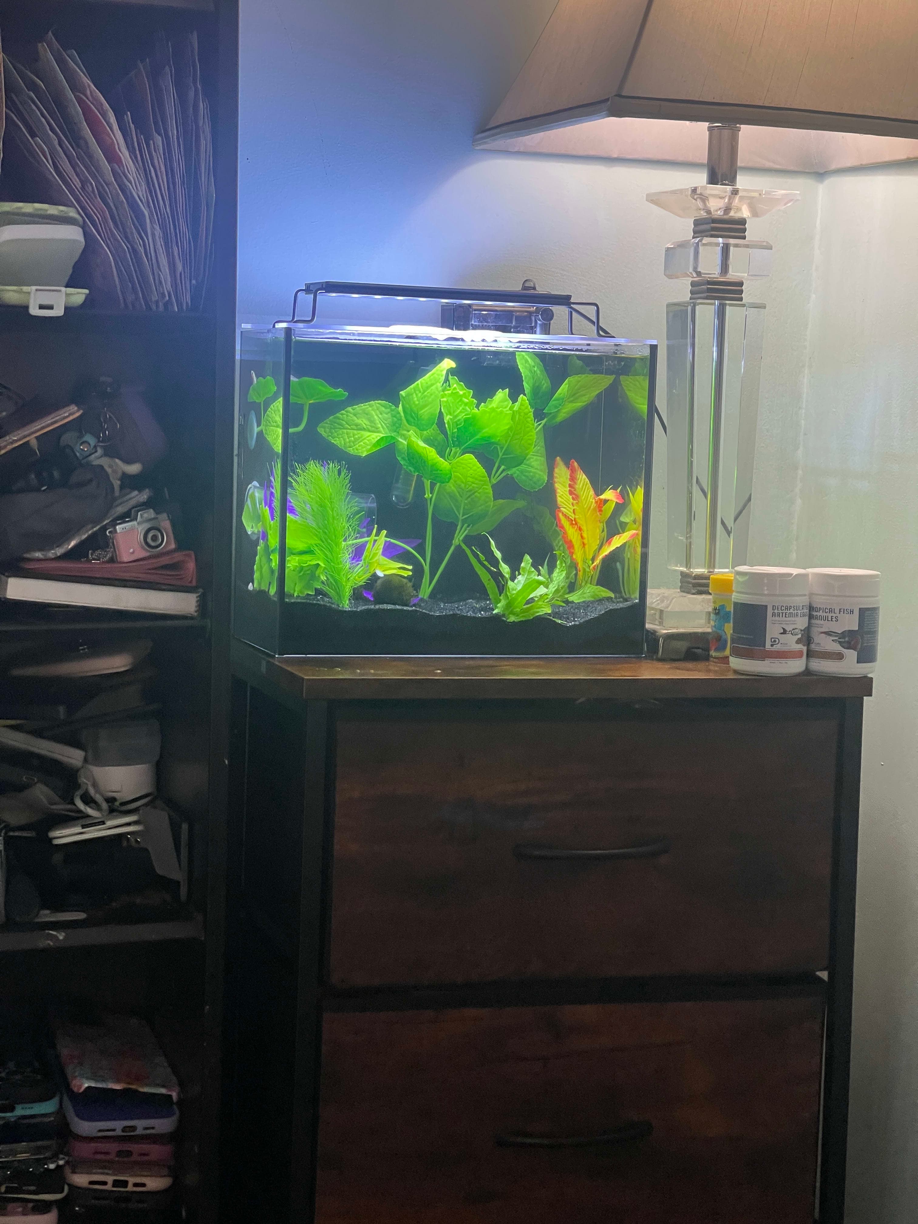3 Gal Hospital Tank And Plant Overflow