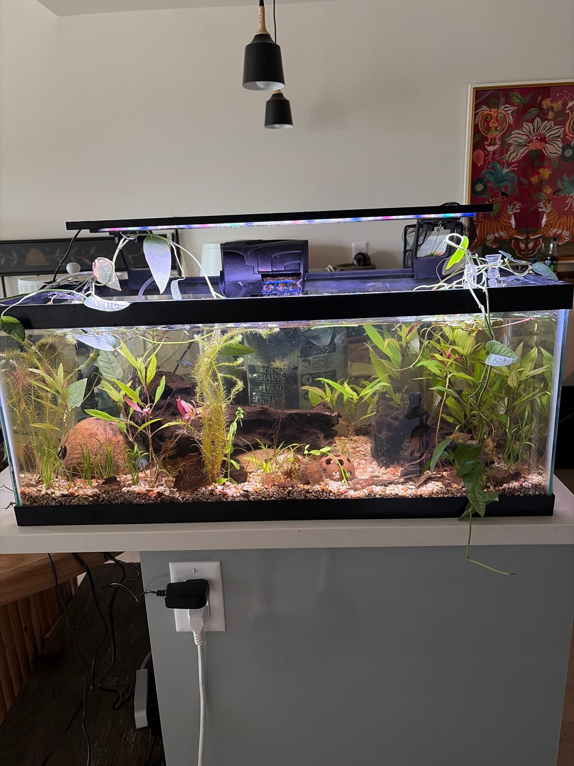 Freshwater Tank